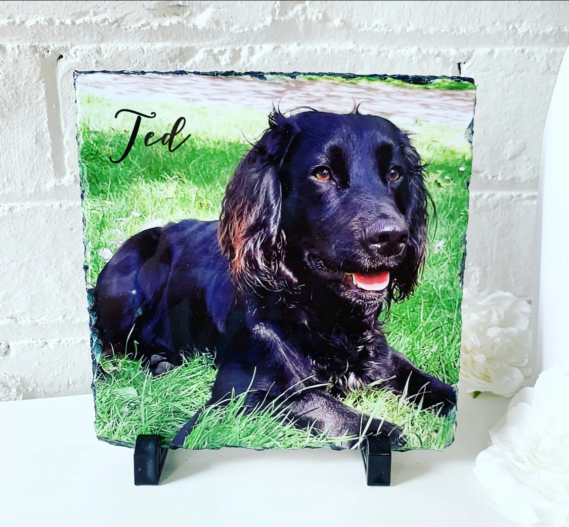 Gloss Pet Photo Slate (19cm) - Image 10