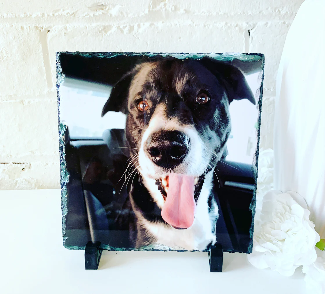 Gloss Pet Photo Slate (19cm) - Image 14