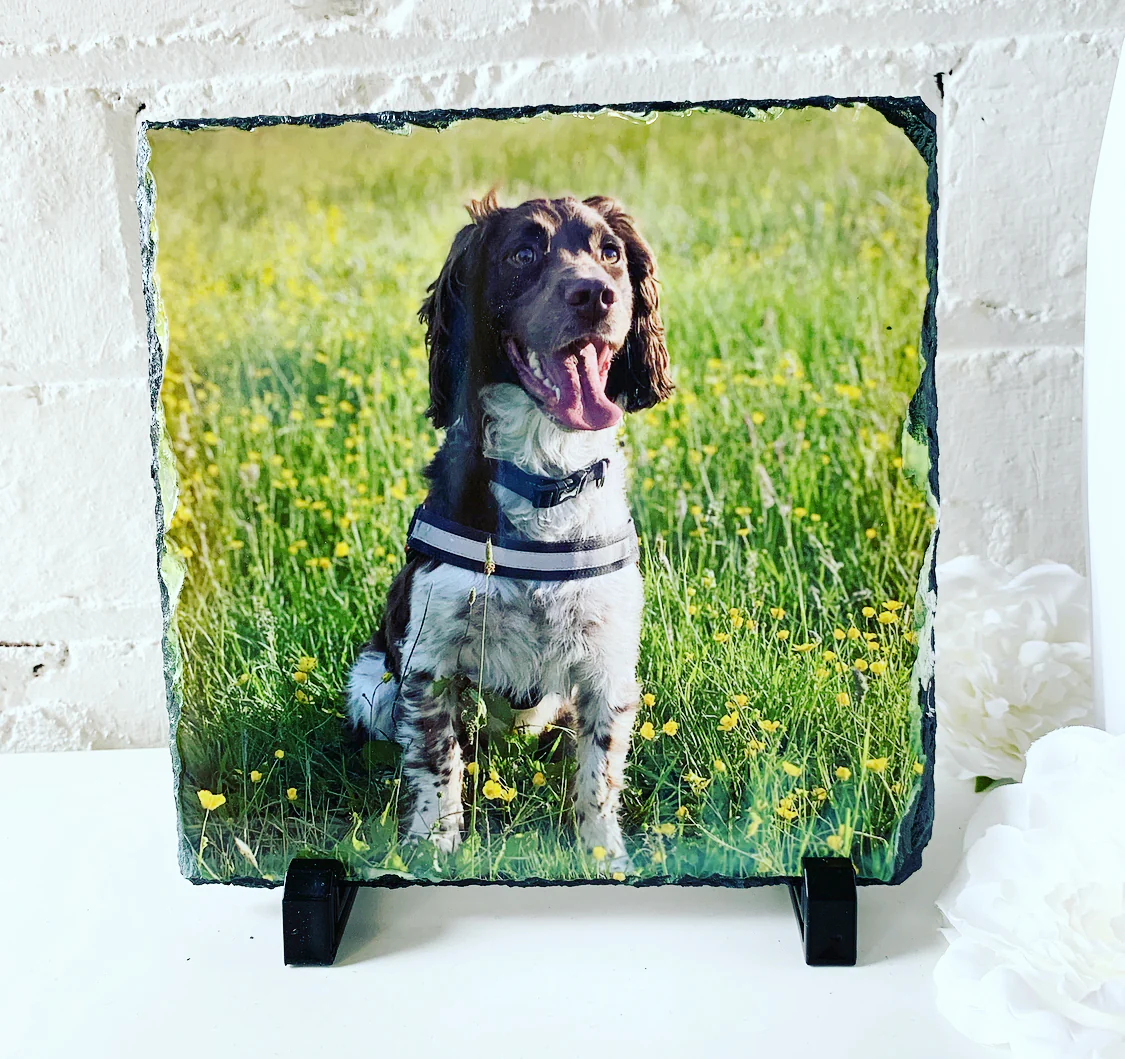 Gloss Pet Photo Slate (19cm) - Image 15