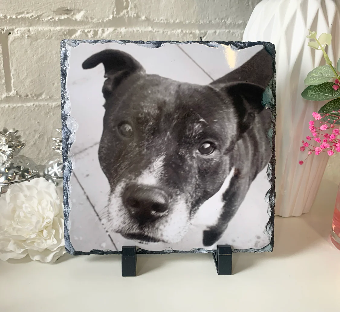 Gloss Pet Photo Slate (19cm) - Image 18