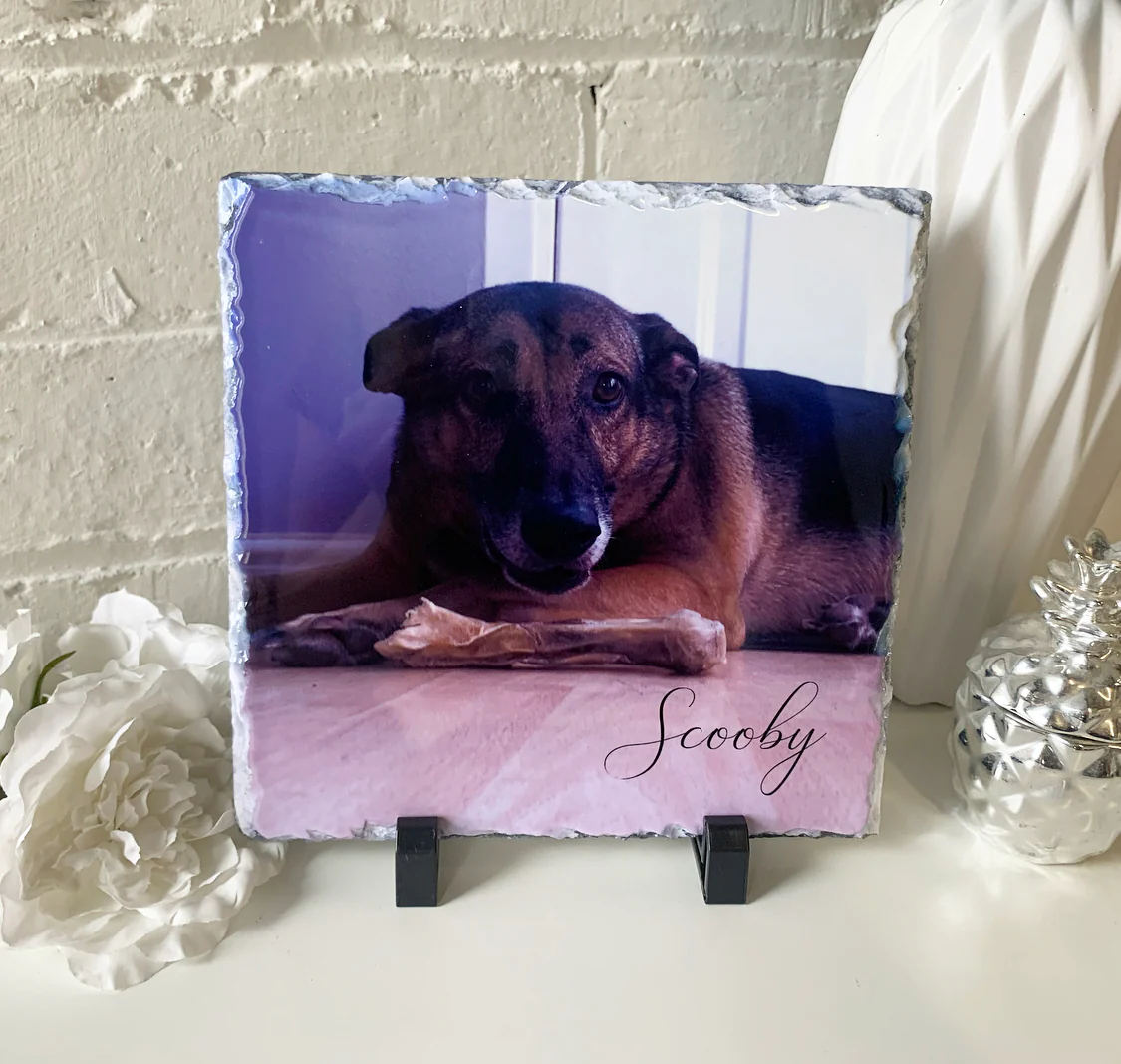 Gloss Pet Photo Slate (19cm) - Image 19