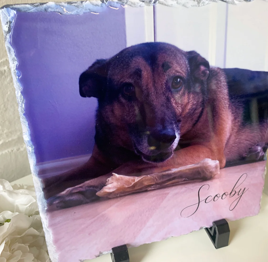 Gloss Pet Photo Slate (19cm) - Image 21