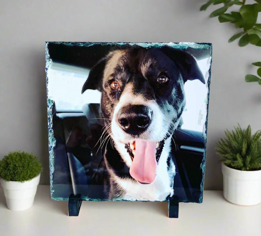 Gloss Pet Photo Slate (19cm) - Image 22