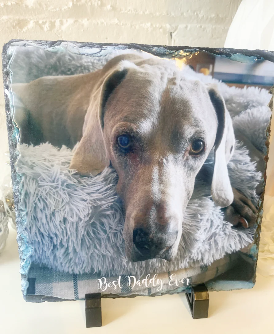 Gloss Pet Photo Slate (19cm) - Image 23