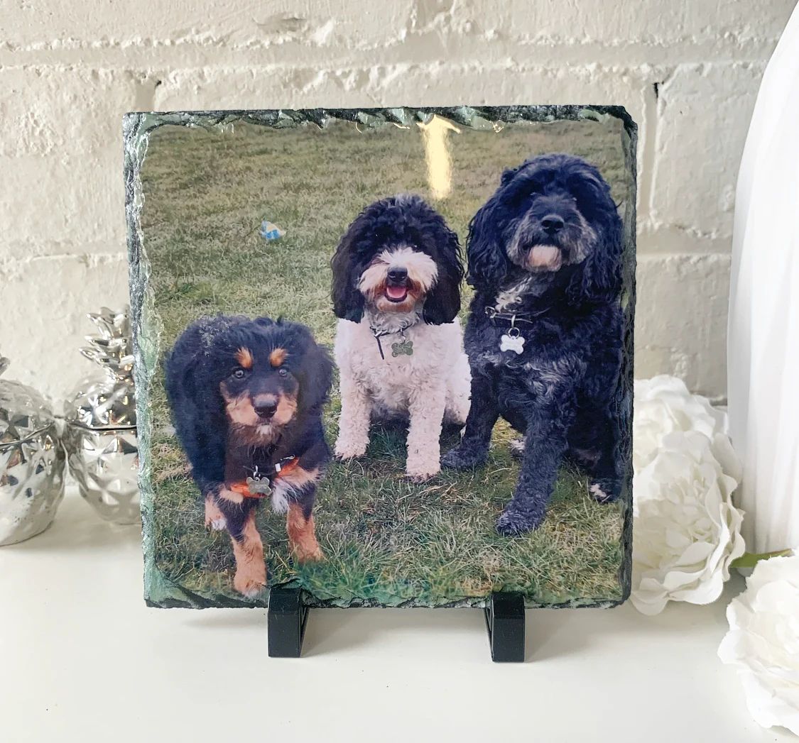 Gloss Pet Photo Slate (19cm) - Image 25