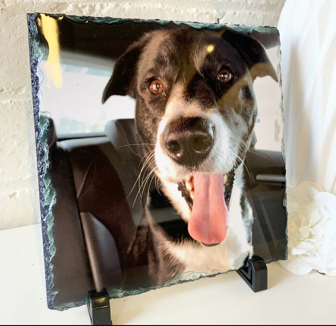 Gloss Pet Photo Slate (19cm) - Image 26