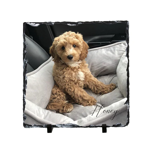 Gloss Pet Photo Slate (19cm) - Image 28