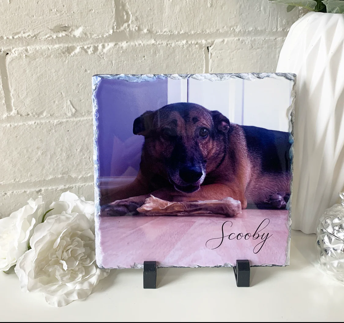 Gloss Pet Photo Slate (19cm) - Image 29