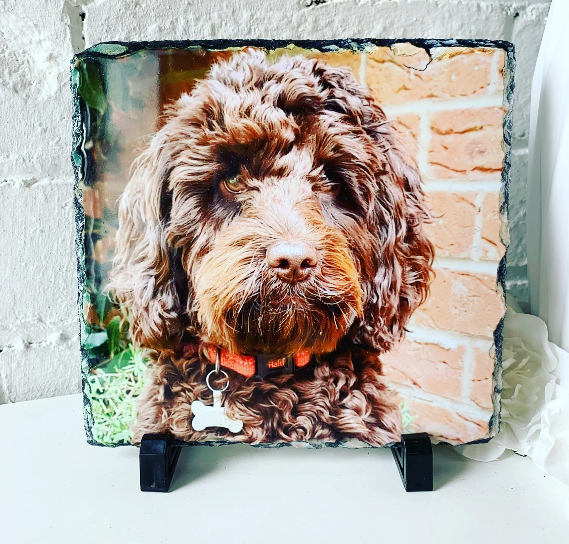 Gloss Pet Photo Slate (19cm) - Image 3