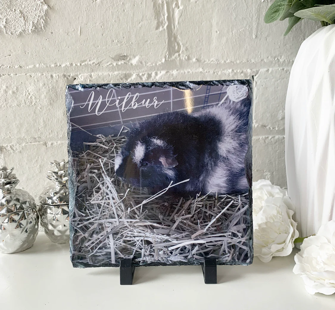 Gloss Pet Photo Slate (19cm) - Image 30