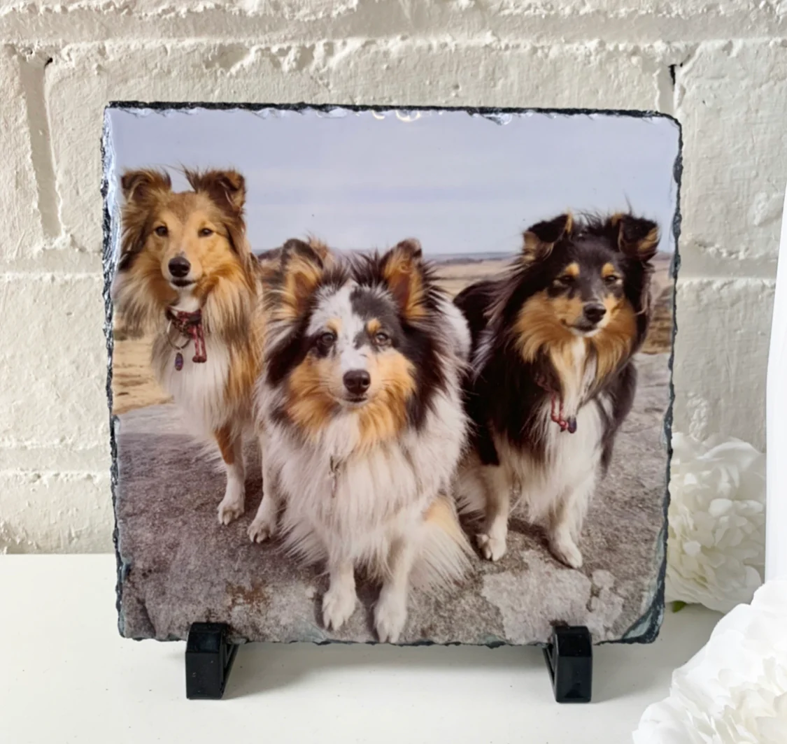 Gloss Pet Photo Slate (19cm) - Image 33
