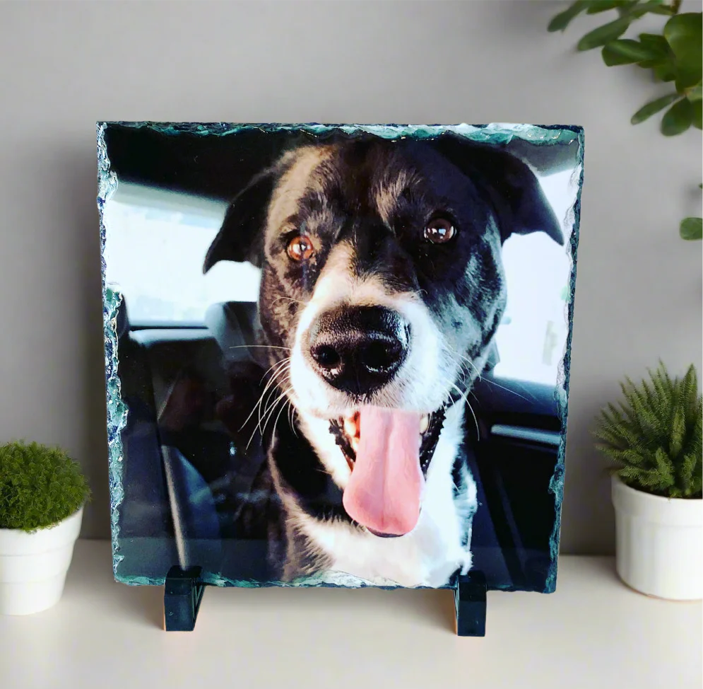 Gloss Pet Photo Slate (19cm) - Image 35