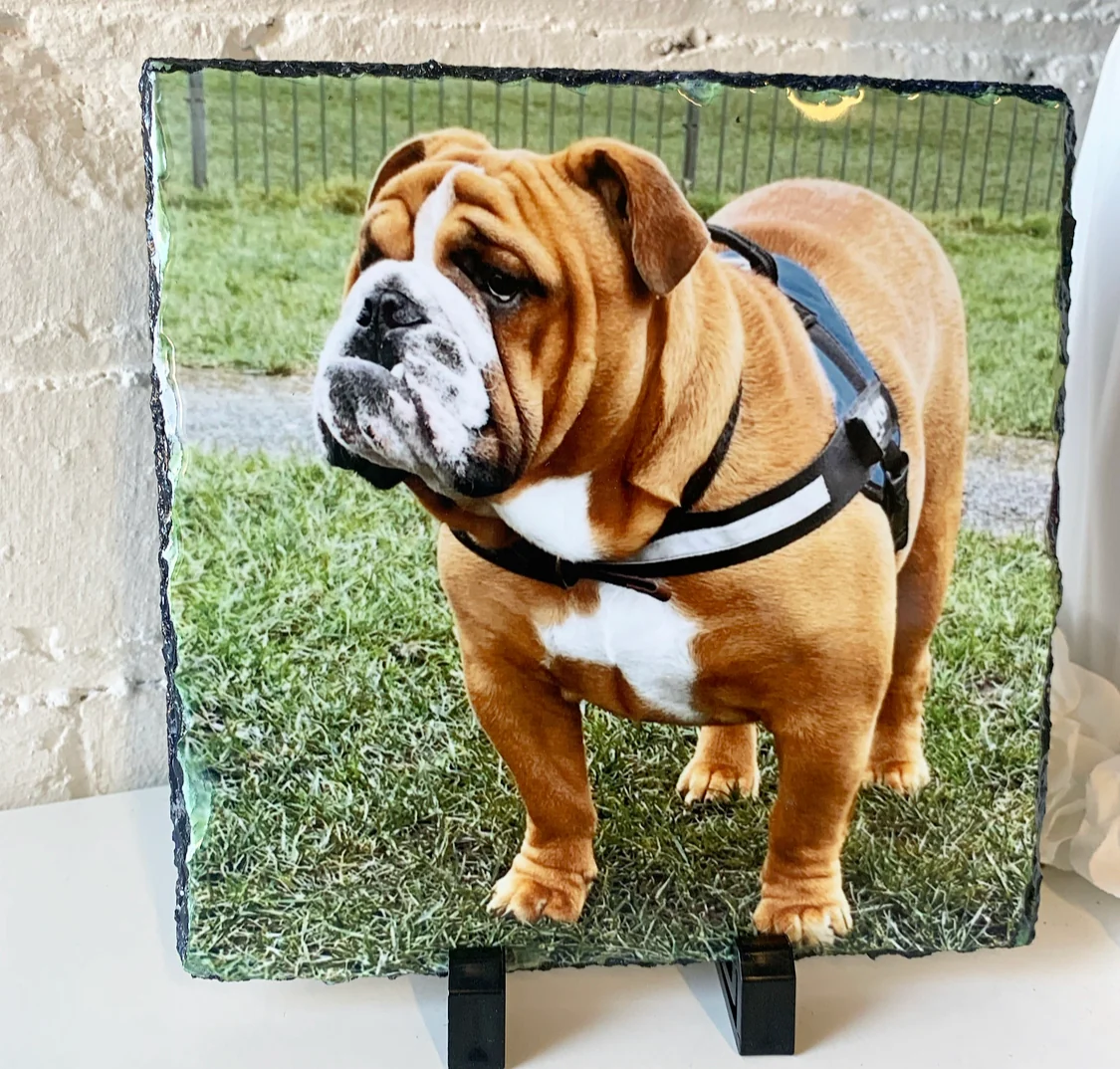 Gloss Pet Photo Slate (19cm) - Image 6